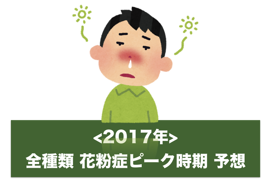 2022年の各花粉症の≪ピーク時期≫予想！全種類まとめ